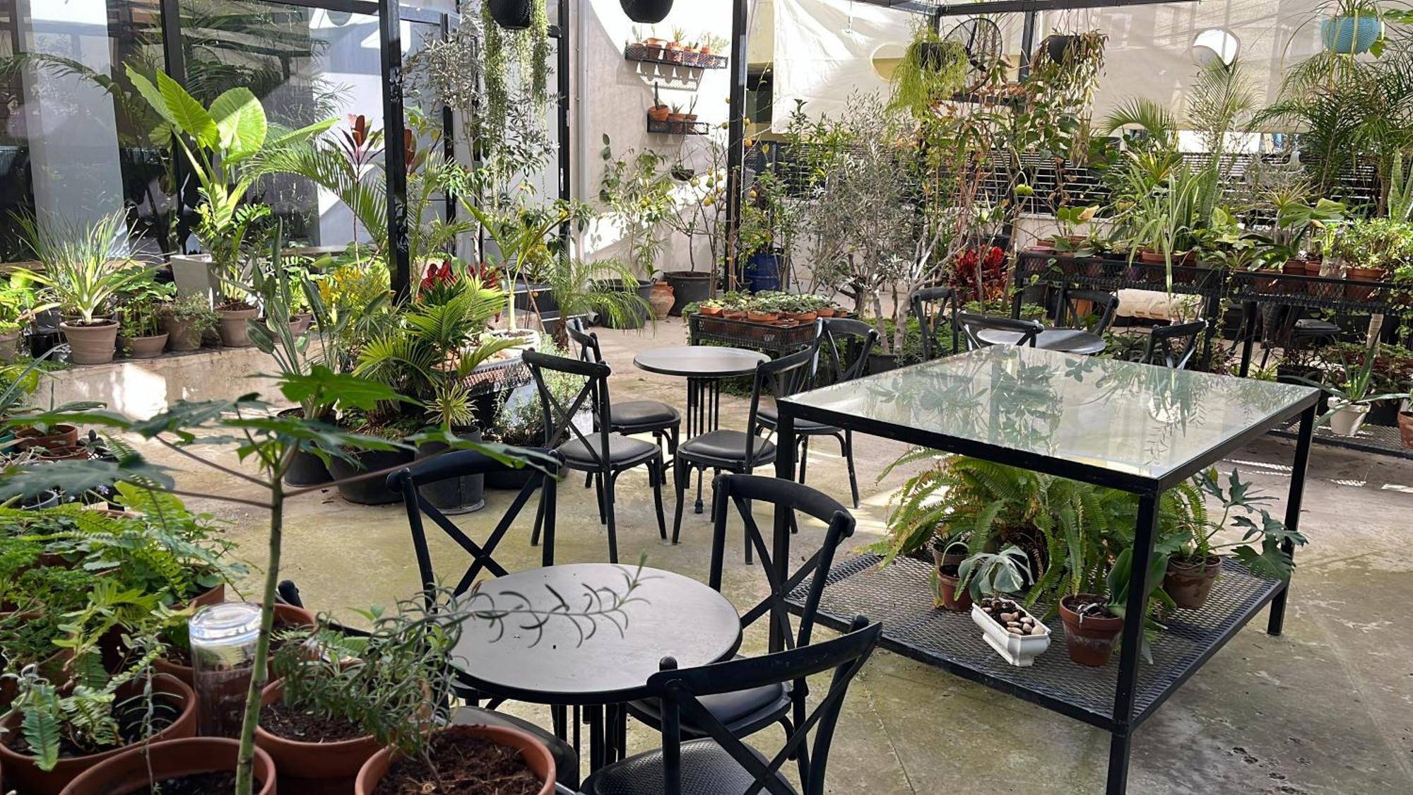 Bed and Breakfast Yona 8 Tel Aviv Esterno foto